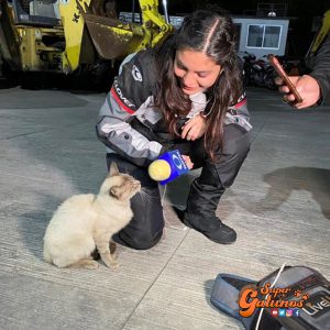 Gato se hace famoso en todo el mundo luego que reportera lo entrevistara