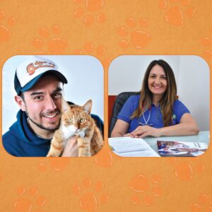 ¿A qué se debe que nuestros gatos tengan mal aliento?