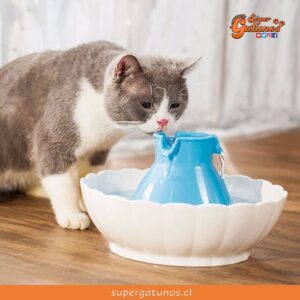 ¿Sabías que a nuestros gatos les fascina tomar agua en movimiento?