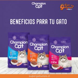 SERNAC amplía alerta de seguridad por productos “Champion Cat”