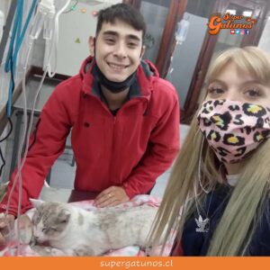 Joven salva la vida de “Simba” tras atropellarlo con su auto en Argentina