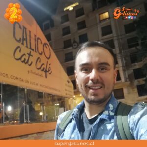 Conoce Calico Cat Café, el café, restobar y albergue más grande de Bogotá