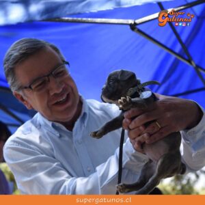 Joaquín Lavín presenta tres propuestas sobre bienestar animal