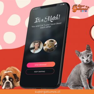 Refugio utiliza Tinder para encontrarle familia a sus gatos rescatados