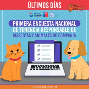 Último día para contestar la encuesta sobre tenencia responsable