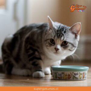 ¿Sabías que es un mito que los gatos necesitan comida baja en grasas?